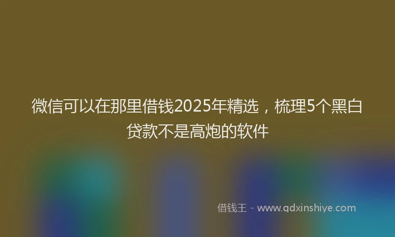 微信可以在那里借钱2025年精选，梳理5个黑白贷款不是高炮的软件