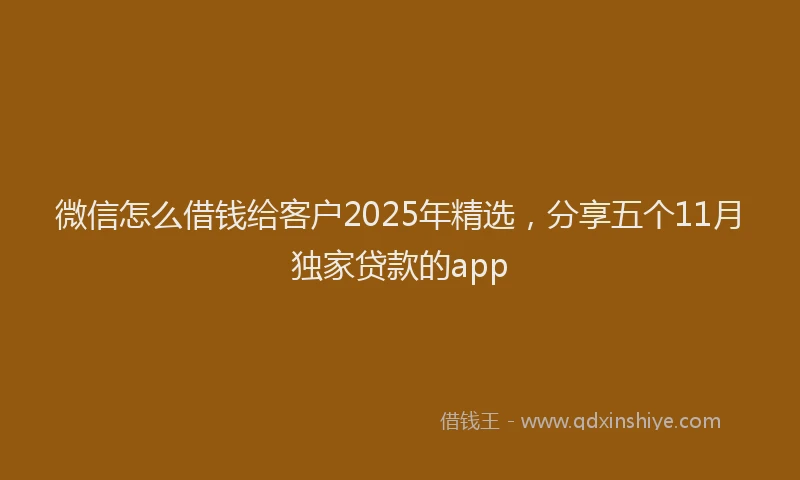 微信怎么借钱给客户2025年精选，分享五个11月独家贷款的app