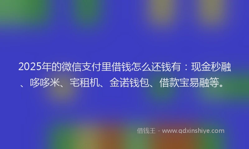 2025年的微信支付里借钱怎么还钱有：现金秒融、哆哆米、宅租机、金诺钱包、借款宝易融等。