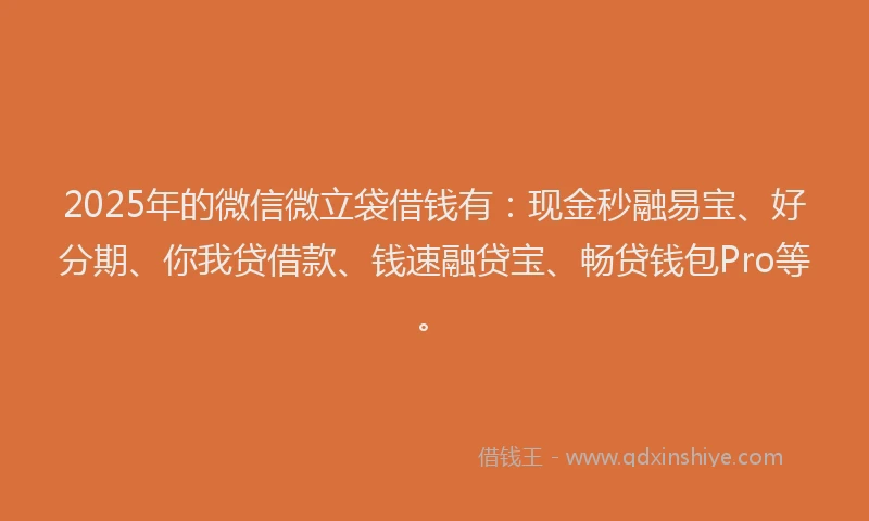 2025年的微信微立袋借钱有：现金秒融易宝、好分期、你我贷借款、钱速融贷宝、畅贷钱包Pro等。
