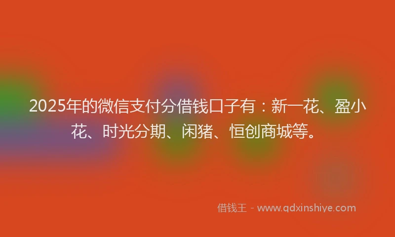 2025年的微信支付分借钱口子有：新一花、盈小花、时光分期、闲猪、恒创商城等。