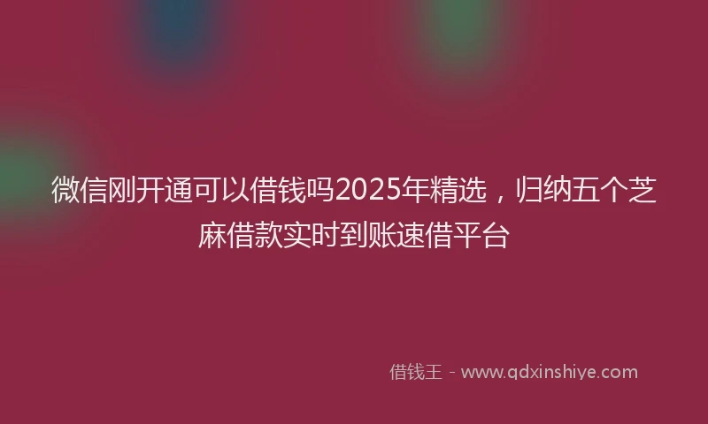 微信刚开通可以借钱吗2025年精选，归纳五个芝麻借款实时到账速借平台