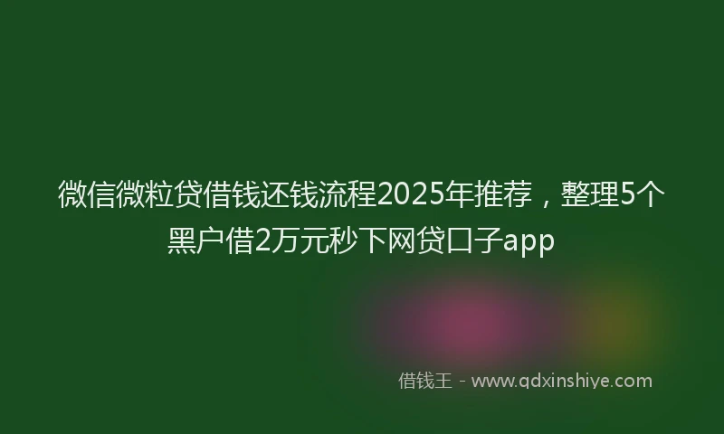 微信微粒贷借钱还钱流程2025年推荐，整理5个黑户借2万元秒下网贷口子app