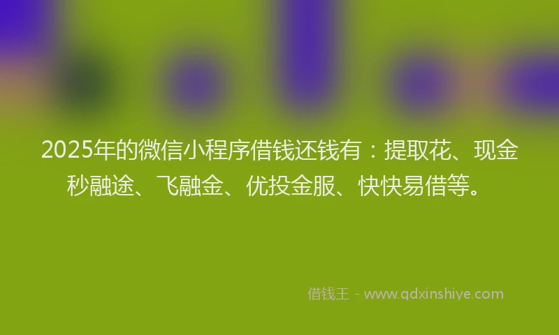 2025年的微信小程序借钱还钱有：提取花、现金秒融途、飞融金、优投金服、快快易借等。