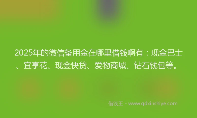 2025年的微信备用金在哪里借钱啊有：现金巴士、宜享花、现金快贷、爱物商城、钻石钱包等。