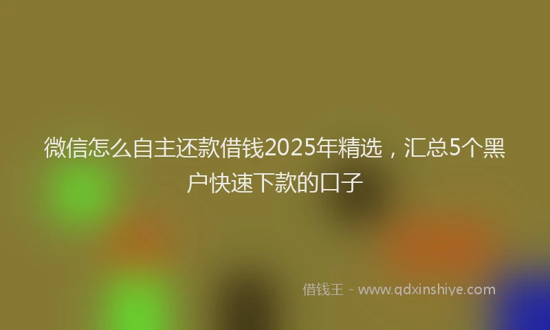 微信怎么自主还款借钱2025年精选，汇总5个黑户快速下款的口子