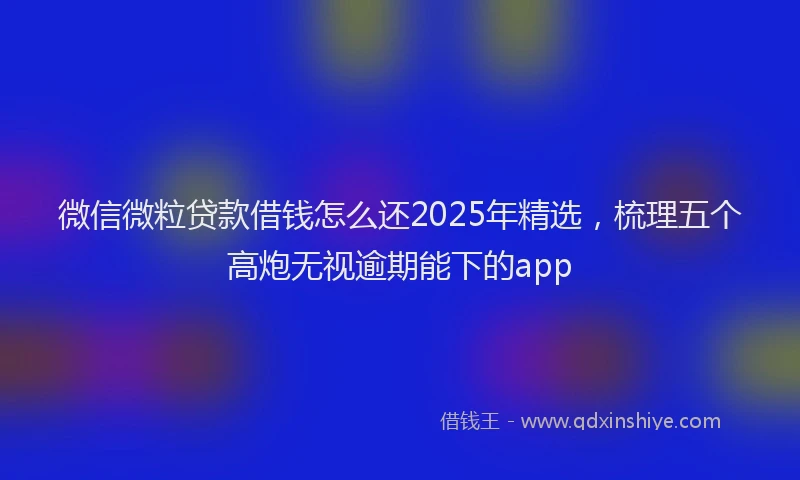 微信微粒贷款借钱怎么还2025年精选，梳理五个高炮无视逾期能下的app