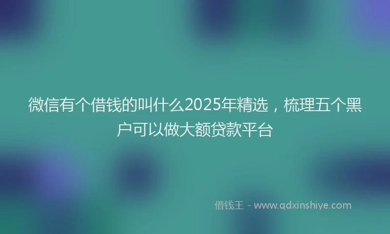 微信有个借钱的叫什么2025年精选，梳理五个黑户可以做大额贷款平台