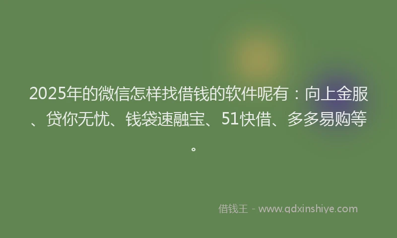 2025年的微信怎样找借钱的软件呢有：向上金服、贷你无忧、钱袋速融宝、51快借、多多易购等。
