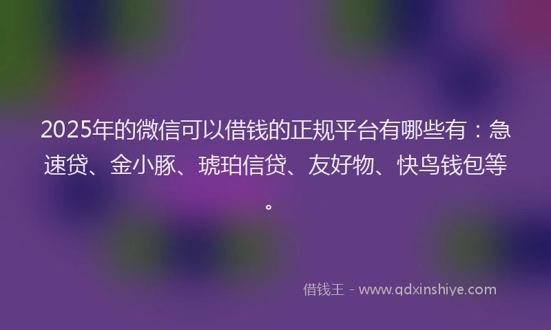 2025年的微信可以借钱的正规平台有哪些有：急速贷、金小豚、琥珀信贷、友好物、快鸟钱包等。