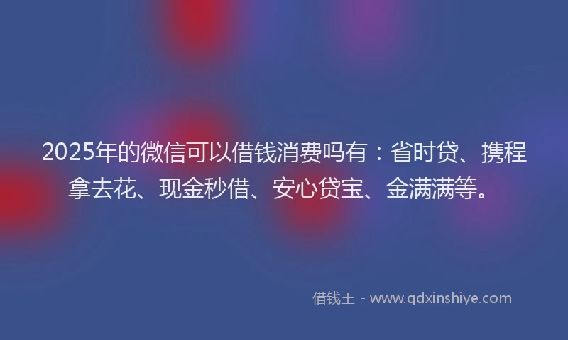2025年的微信可以借钱消费吗有：省时贷、携程拿去花、现金秒借、安心贷宝、金满满等。