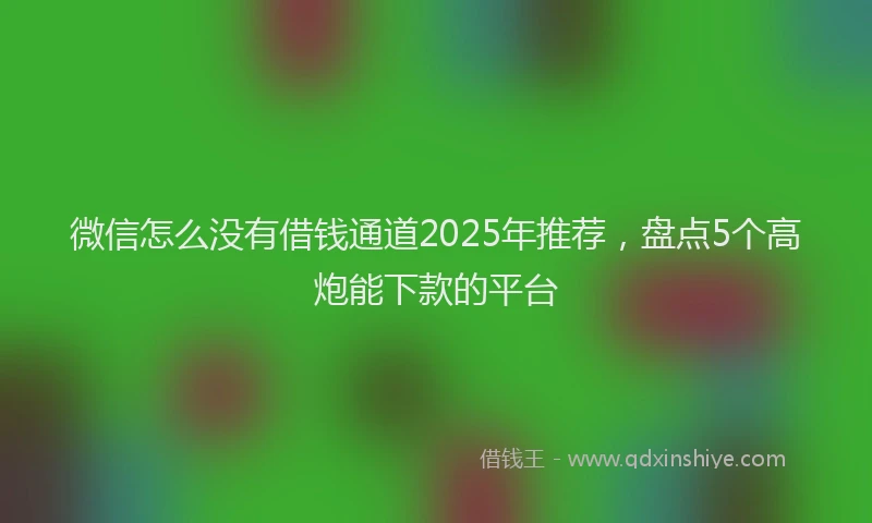 微信怎么没有借钱通道2025年推荐，盘点5个高炮能下款的平台