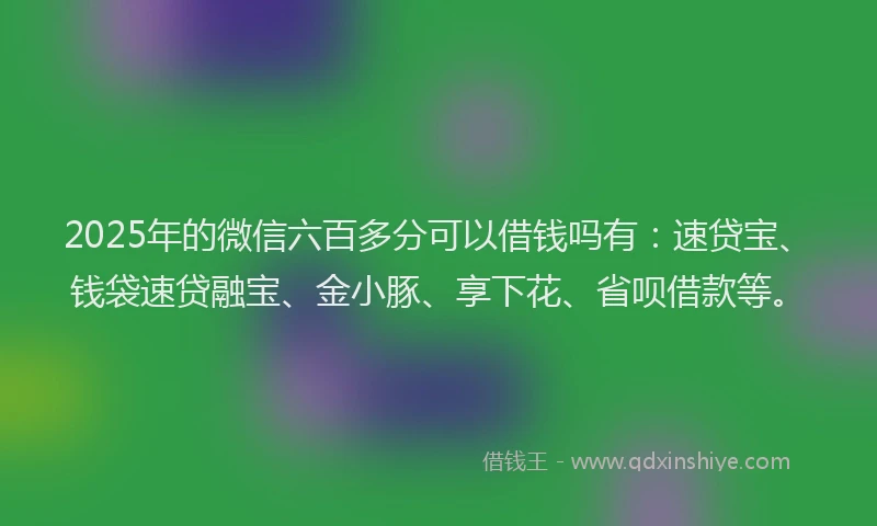 2025年的微信六百多分可以借钱吗有：速贷宝、钱袋速贷融宝、金小豚、享下花、省呗借款等。