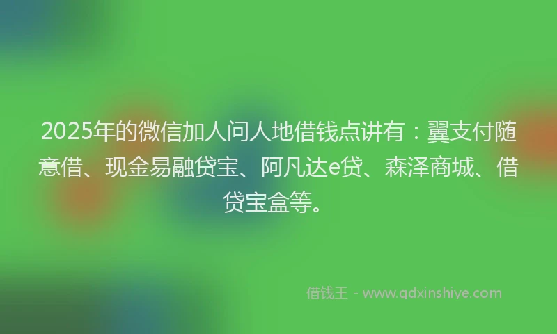 2025年的微信加人问人地借钱点讲有：翼支付随意借、现金易融贷宝、阿凡达e贷、森泽商城、借贷宝盒等。