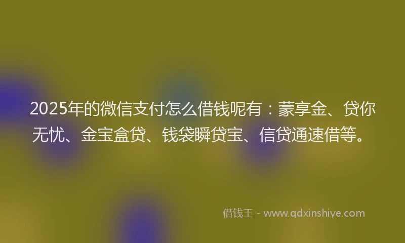 2025年的微信支付怎么借钱呢有：蒙享金、贷你无忧、金宝盒贷、钱袋瞬贷宝、信贷通速借等。