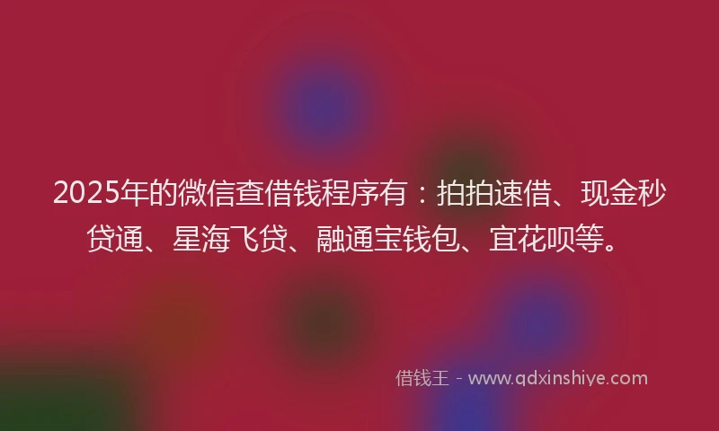2025年的微信查借钱程序有：拍拍速借、现金秒贷通、星海飞贷、融通宝钱包、宜花呗等。