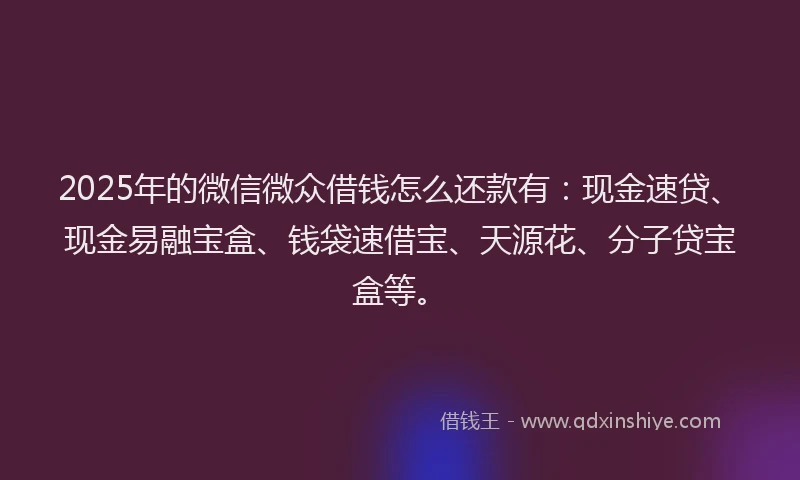 2025年的微信微众借钱怎么还款有：现金速贷、现金易融宝盒、钱袋速借宝、天源花、分子贷宝盒等。