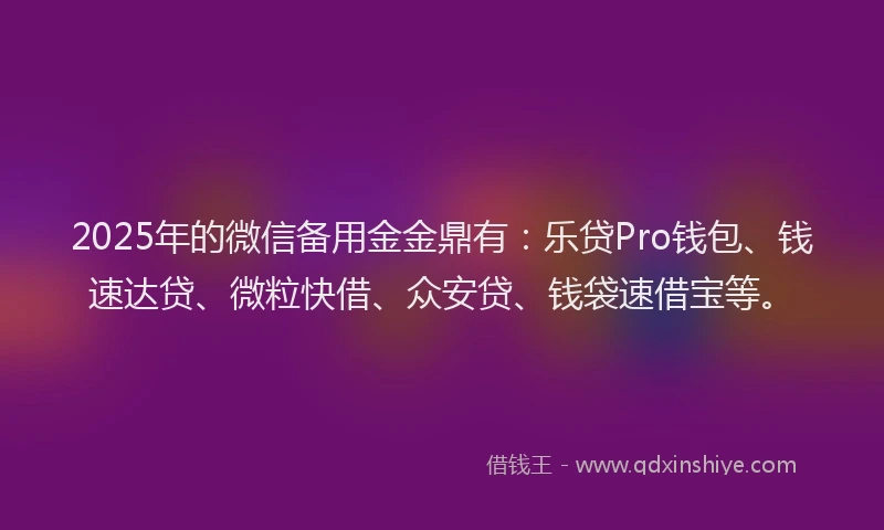 2025年的微信备用金金鼎有：乐贷Pro钱包、钱速达贷、微粒快借、众安贷、钱袋速借宝等。