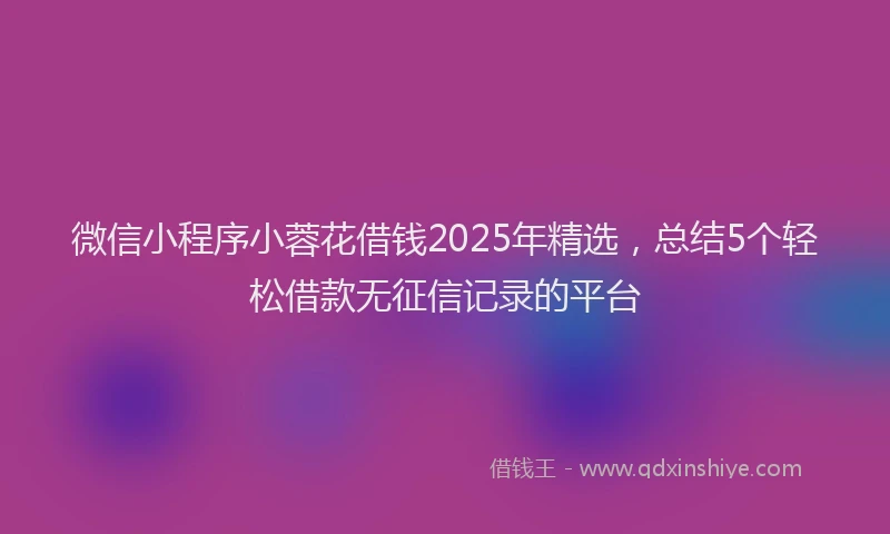 微信小程序小蓉花借钱2025年精选，总结5个轻松借款无征信记录的平台