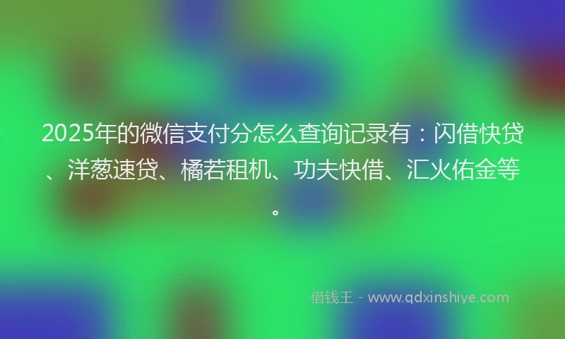 2025年的微信支付分怎么查询记录有：闪借快贷、洋葱速贷、橘若租机、功夫快借、汇火佑金等。
