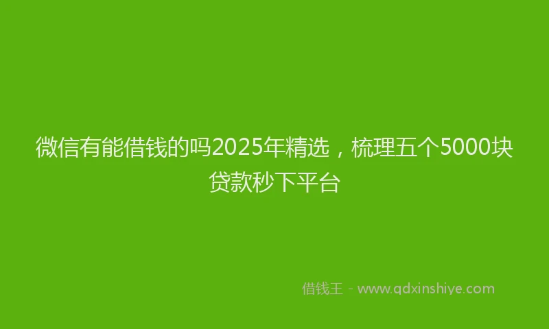 微信有能借钱的吗2025年精选，梳理五个5000块贷款秒下平台