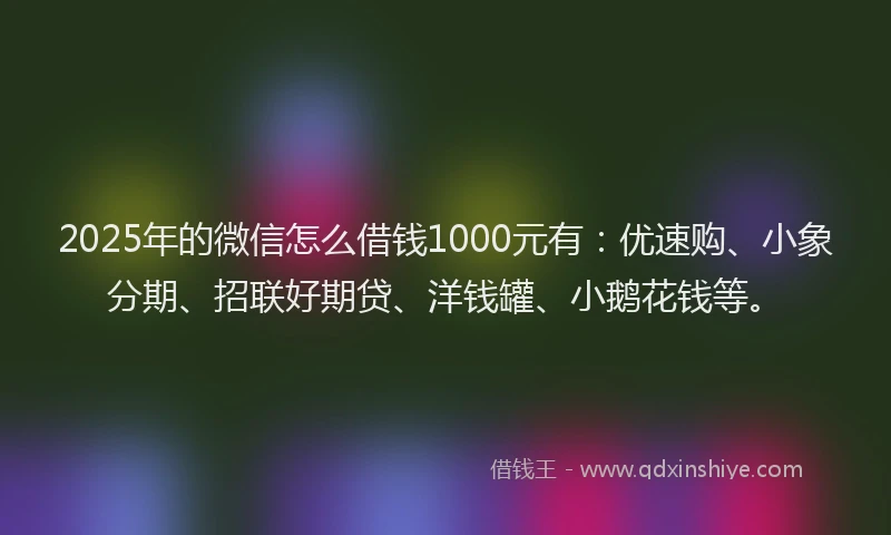 2025年的微信怎么借钱1000元有：优速购、小象分期、招联好期贷、洋钱罐、小鹅花钱等。