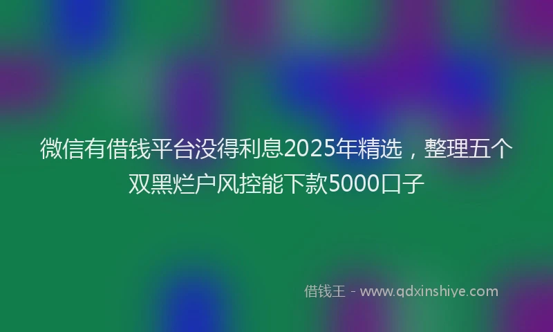 微信有借钱平台没得利息2025年精选，整理五个双黑烂户风控能下款5000口子