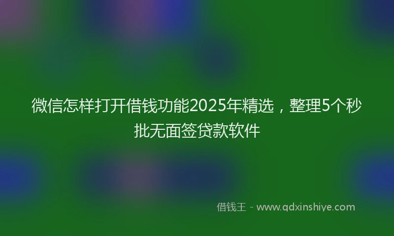 微信怎样打开借钱功能2025年精选，整理5个秒批无面签贷款软件