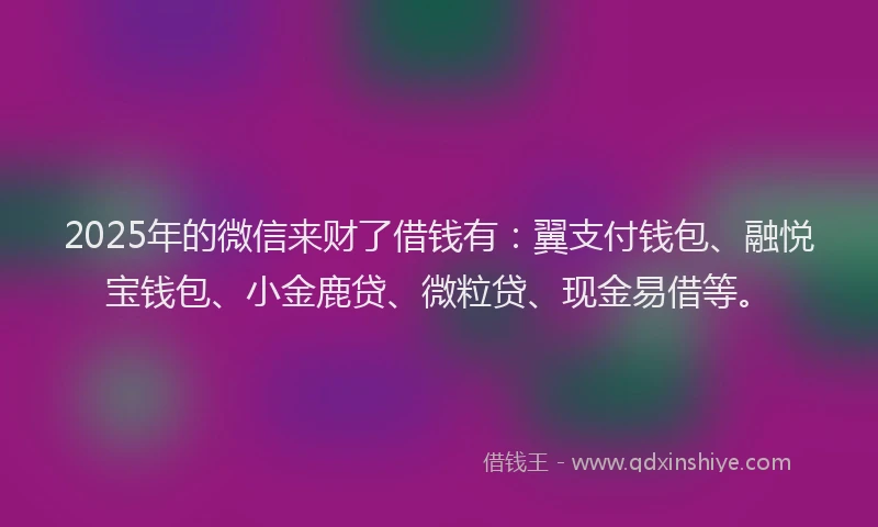 2025年的微信来财了借钱有：翼支付钱包、融悦宝钱包、小金鹿贷、微粒贷、现金易借等。