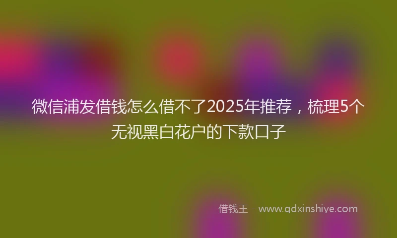 微信浦发借钱怎么借不了2025年推荐，梳理5个无视黑白花户的下款口子