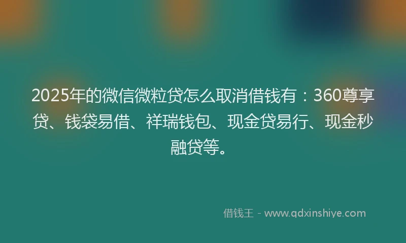 2025年的微信微粒贷怎么取消借钱有：360尊享贷、钱袋易借、祥瑞钱包、现金贷易行、现金秒融贷等。
