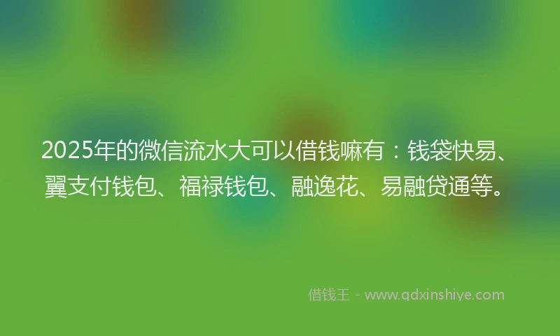 2025年的微信流水大可以借钱嘛有：钱袋快易、翼支付钱包、福禄钱包、融逸花、易融贷通等。