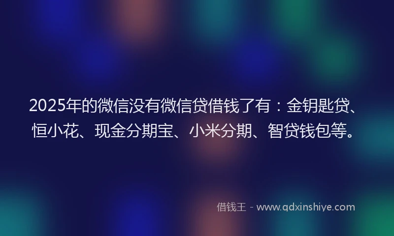2025年的微信没有微信贷借钱了有：金钥匙贷、恒小花、现金分期宝、小米分期、智贷钱包等。