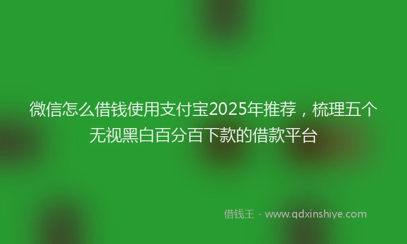 微信怎么借钱使用支付宝2025年推荐，梳理五个无视黑白百分百下款的借款平台