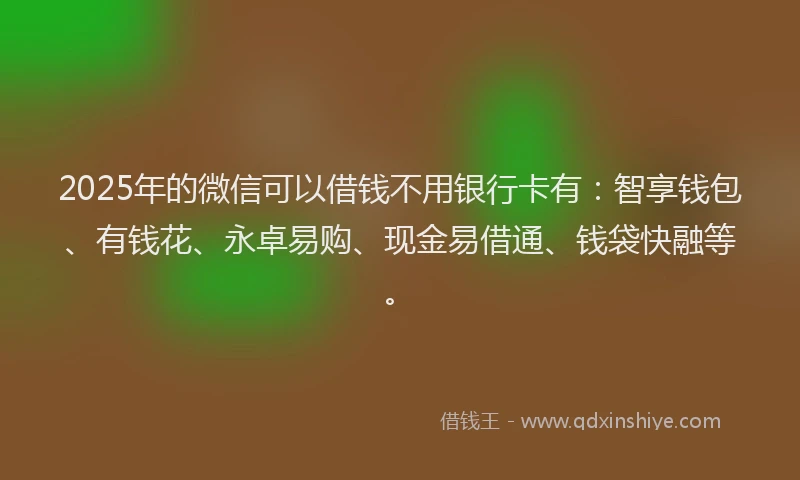 2025年的微信可以借钱不用银行卡有：智享钱包、有钱花、永卓易购、现金易借通、钱袋快融等。