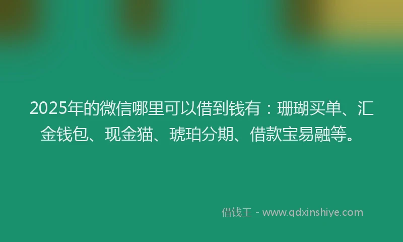 2025年的微信哪里可以借到钱有：珊瑚买单、汇金钱包、现金猫、琥珀分期、借款宝易融等。