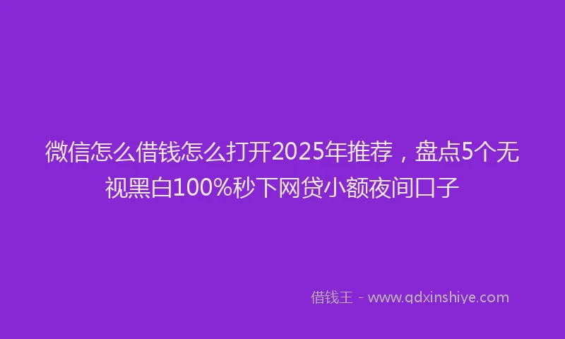 微信怎么借钱怎么打开2025年推荐，盘点5个无视黑白100%秒下网贷小额夜间口子