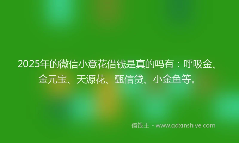 2025年的微信小意花借钱是真的吗有：呼吸金、金元宝、天源花、甄信贷、小金鱼等。