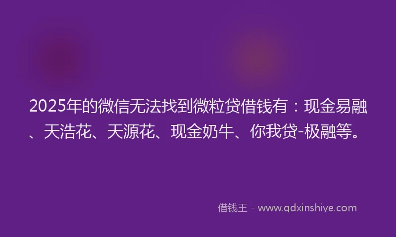 2025年的微信无法找到微粒贷借钱有：现金易融、天浩花、天源花、现金奶牛、你我贷-极融等。