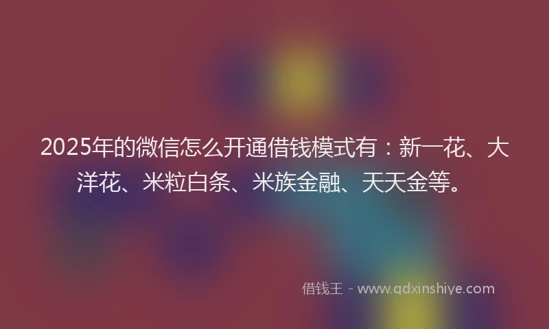 2025年的微信怎么开通借钱模式有：新一花、大洋花、米粒白条、米族金融、天天金等。