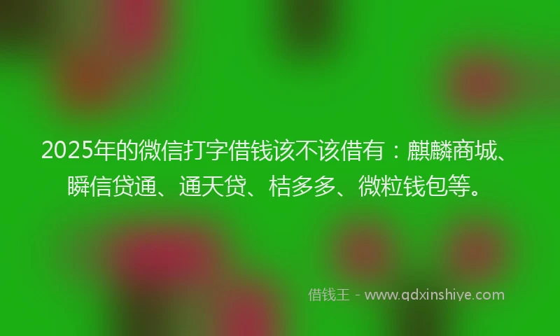 2025年的微信打字借钱该不该借有：麒麟商城、瞬信贷通、通天贷、桔多多、微粒钱包等。