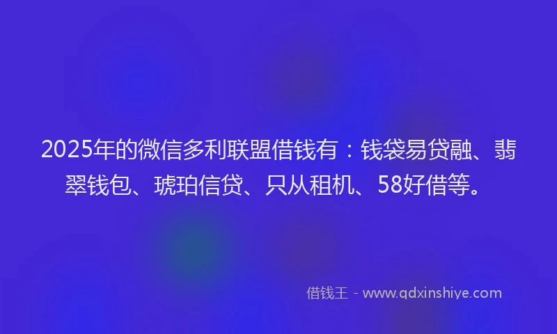 2025年的微信多利联盟借钱有：钱袋易贷融、翡翠钱包、琥珀信贷、只从租机、58好借等。