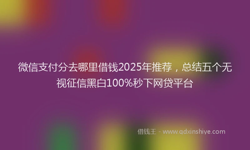 微信支付分去哪里借钱2025年推荐，总结五个无视征信黑白100%秒下网贷平台