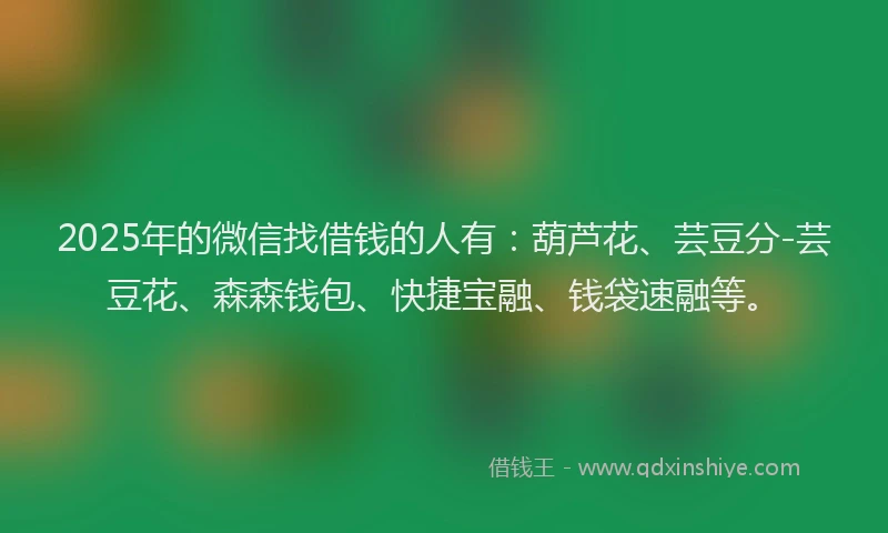 2025年的微信找借钱的人有：葫芦花、芸豆分-芸豆花、森森钱包、快捷宝融、钱袋速融等。
