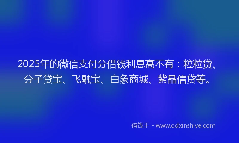 2025年的微信支付分借钱利息高不有：粒粒贷、分子贷宝、飞融宝、白象商城、紫晶信贷等。