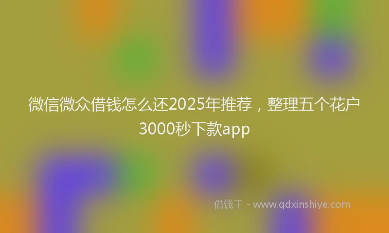 微信微众借钱怎么还2025年推荐，整理五个花户3000秒下款app