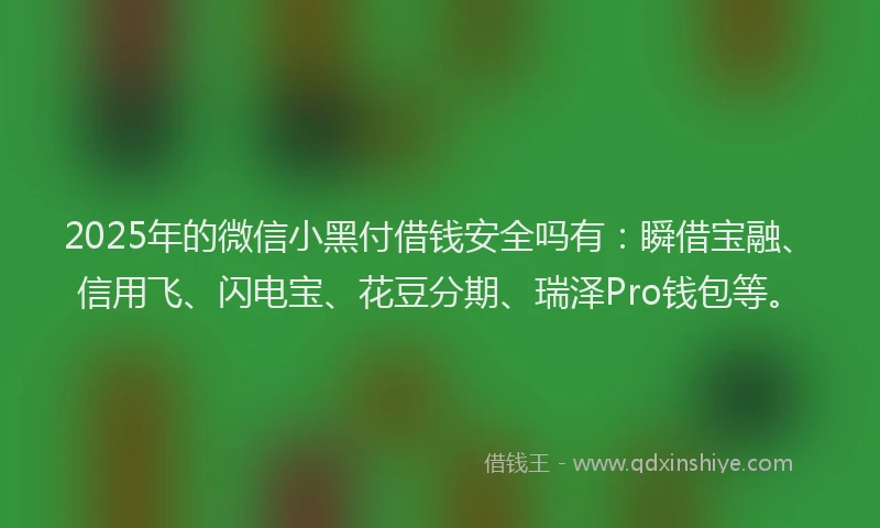 2025年的微信小黑付借钱安全吗有：瞬借宝融、信用飞、闪电宝、花豆分期、瑞泽Pro钱包等。
