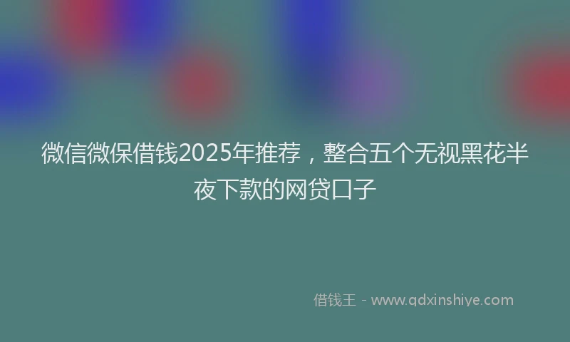 微信微保借钱2025年推荐，整合五个无视黑花半夜下款的网贷口子