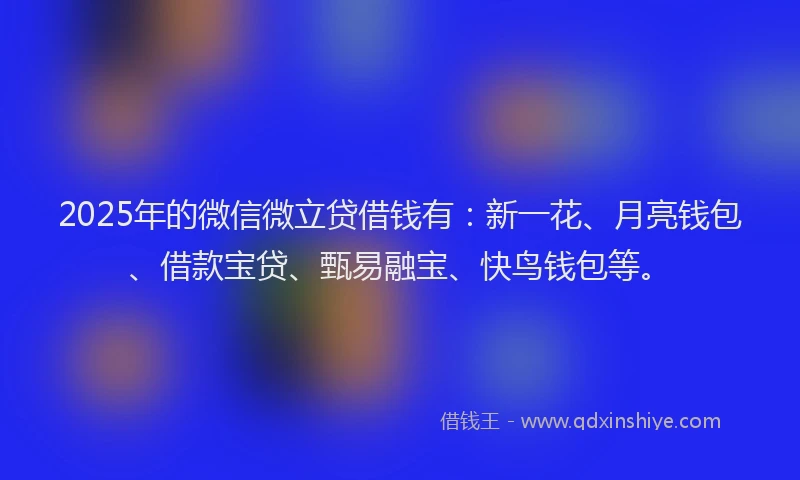 2025年的微信微立贷借钱有：新一花、月亮钱包、借款宝贷、甄易融宝、快鸟钱包等。