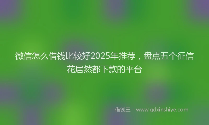 微信怎么借钱比较好2025年推荐，盘点五个征信花居然都下款的平台